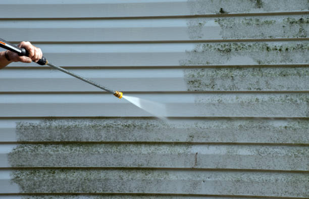 Best Solar Panel Cleaning  in Galena Park, TX