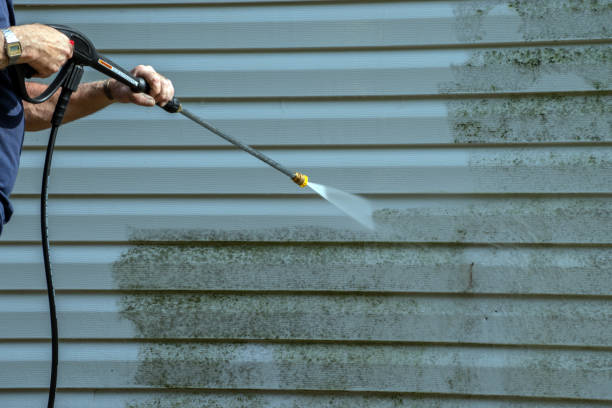 Best Graffiti Removal  in Galena Park, TX